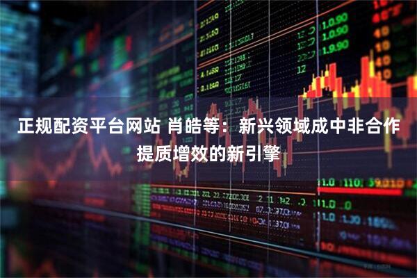 正规配资平台网站 肖皓等：新兴领域成中非合作提质增效的新引擎