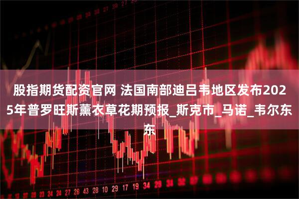 股指期货配资官网 法国南部迪吕韦地区发布2025年普罗旺斯薰衣草花期预报_斯克市_马诺_韦尔东